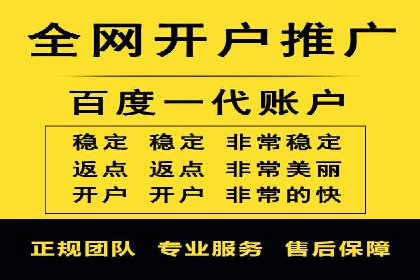 某品牌SEM广告投放的优化过程与效果